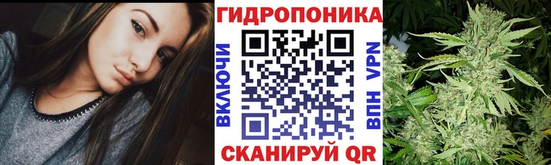 Канабис гибрид Канаш